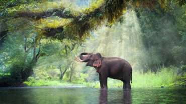 Thailand Travelers Nature and landscapes