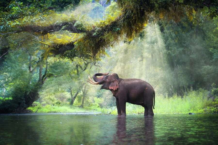 Thailand Travelers Nature and landscapes