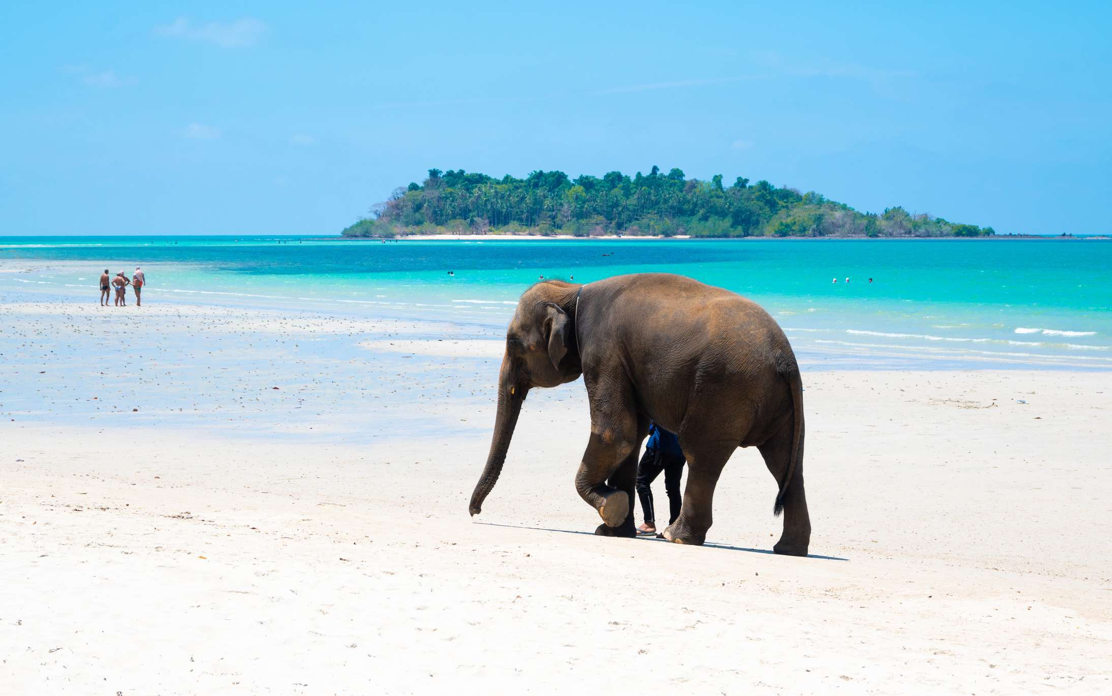 Koh Chang Island